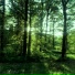 LxNz, ansxra!, H1KXRY