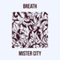 Mister City