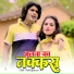 Rahul Ghatwasan, RAHUL SINGER MEWATI