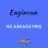 Engincan