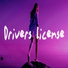 Driver's License