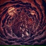 Blut Aus Nord