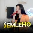 Denik Armila