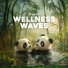 Panda Spa, Panda Ambience, Panda Music