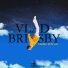 Vlad Brisby