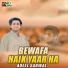 Adeel Sanwal