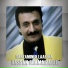 Hassan Shamaizadeh