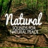 Nature Sounds Nature Music