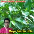Gopal Halder