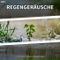 Oswald Menke, Regengeräusche, Schlafmusik