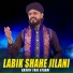 Kashif Taaj Ataari