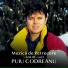 Puiu Codreanu