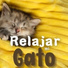 Mascotas Amor Club