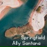 Ally Santana