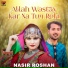 Nasir Roshan