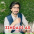 Hussain Aseer