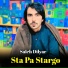 Saleh Dilyar