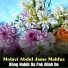 Molavi Abdul Jame Mahfuz