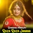 Damsaaz Marwat feat. Nasurullah Marwat