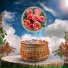Wish Fire
