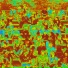 Aures