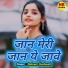 Dalveer Kushwah