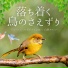 鳥のさえずり春