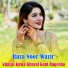 Raza Noor Wazir
