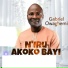 Gabriel Owagbemi