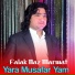 Falak Naz Marwat
