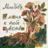 Mira Velle