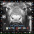 White Buffalo