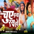 Abhishek Singh, Priya Raj