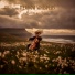 Melody for Dreams