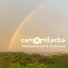 Camomila Chá, Camila Pedrassoli, Juliana Furtado