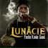 Lunacie