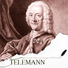 Peter Masseurs, Amsterdam Bach Soloists