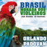 Orlando Padovan