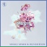 Single Spark, Oliver Ryon