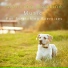 Relaxing BGM Project