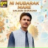 Saleem Shahzad