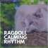 Cat Music Therapy