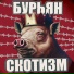 Бурьян