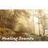 Relaxing Music Zone