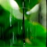 Nature Noise Monsoon Rains