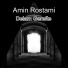 Amin Rostami