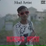 Mad Artist