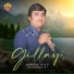 Anwaar Niazi