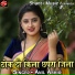 Anil Ashiq