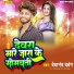 Devanand Dabang